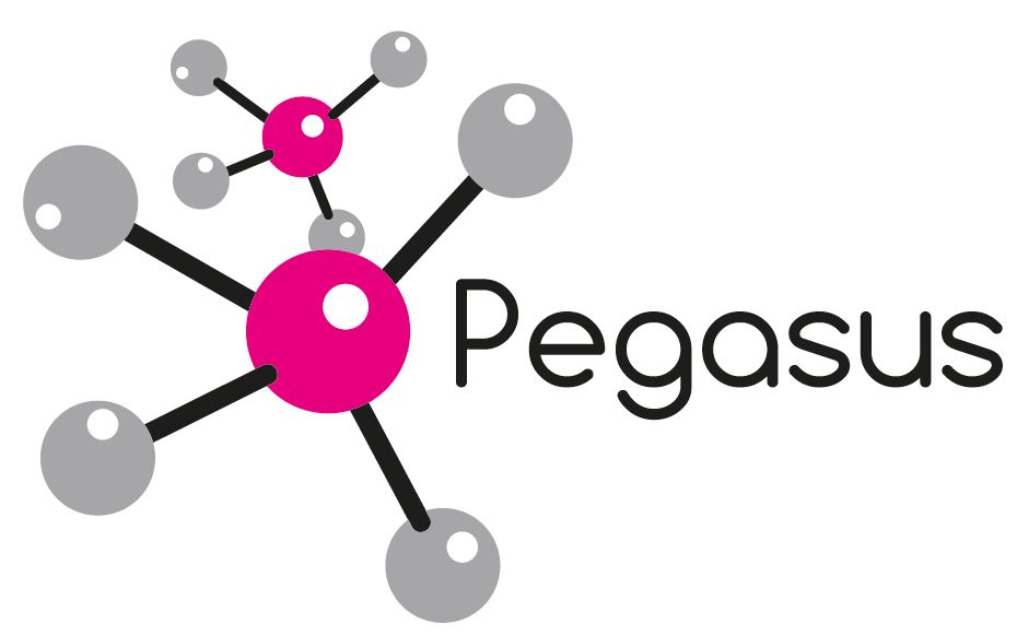 Pegasus Logo1